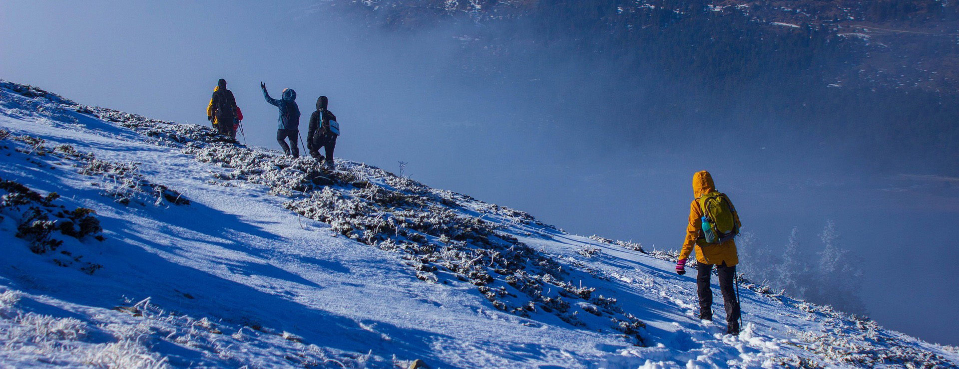 Outdoor Camping Gear -Outdoor Camping Gear hiking 7712678 1920